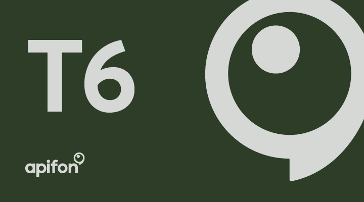 T6